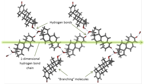 steroid_2