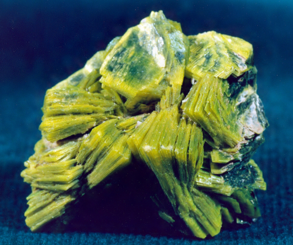 Autunite, Washington. Bureau of Mines, Mineral Specimens C1621