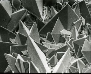 Scanning Electron Micrograph of the surface of a kidney stone showing tetragonal crystals of Weddellite, image by Kempf EK