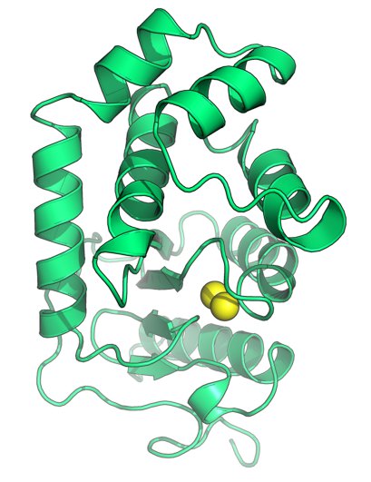 The image was generated using the molecular graphics software PyMOL.