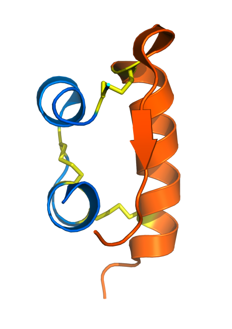 Image generated by Pymol (http://www.pymol.org/) 