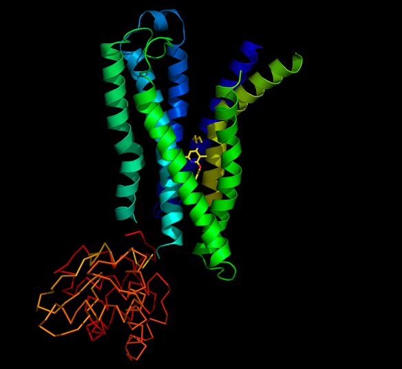 Image generated by Pymol (http://www.pymol.org/) 