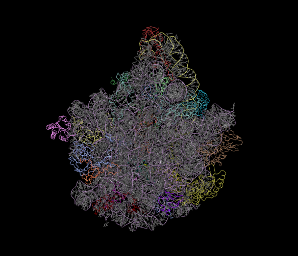The image was generated using the molecular graphics software ccp4mg. http://www.ccp4.ac.uk/MG/