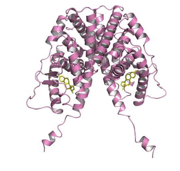 Image generated by Pymol (http://www.pymol.org/) (pdb code: 1A52).