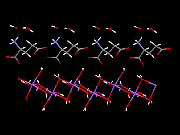 The triple layered structure of MSG pentahydrate. The top layer is water molecules, then the middle layer is the glutamate molecules, and the bottom layer is the complex of water and sodium (purple) atoms. 