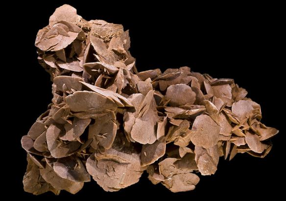 Desert roses (Gypsum) from Southern Tunisia, picture by Didier Descouens 