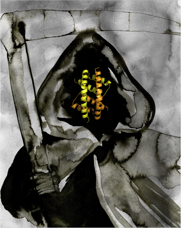 Water-colour painting of the Grim Reaper by Rachel Bucknall, with the BH3:groove dimer structure of Bak as the face. The structure was generated using pymol. 