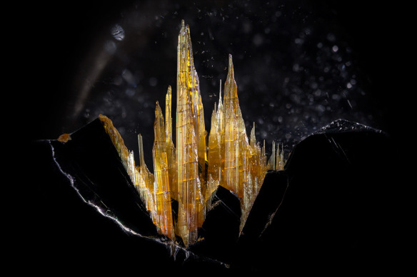 Image 2: Rutile on hematite in quartz. Image by Danny Sanchez