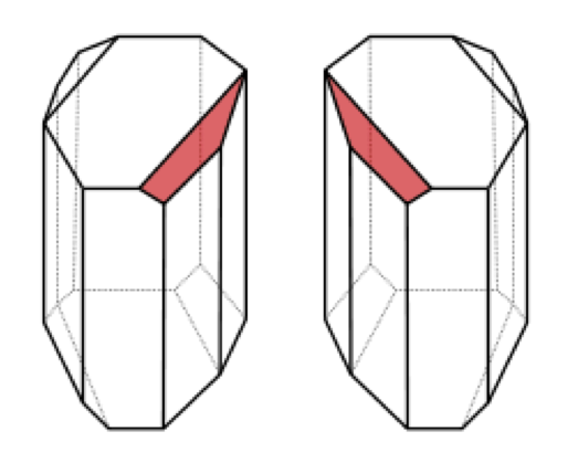 The two types of crystals found in paratartaric acid, which are mirror images of each other.