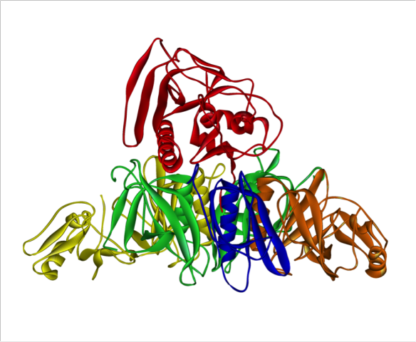 Pertussis toxin from Bordetlla pertussis.