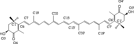 The astaxanthin molecule, a type of carotenoid found in marine crustacea