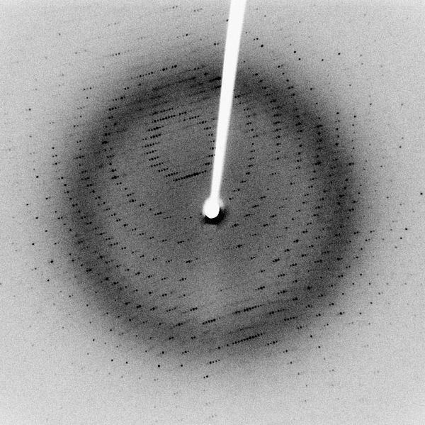 [X-ray diffraction photograph of an enzyme of the SARS virus, by Jeff Dahl]