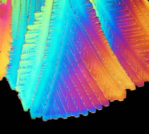 Crystals of citric acid in polarised light by Jan Homann