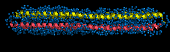 Image of the hyperactive type I antifreeze protein, Maxi (pdb code 4EK2) generated by Pymol (http://www.pymol.org/) 