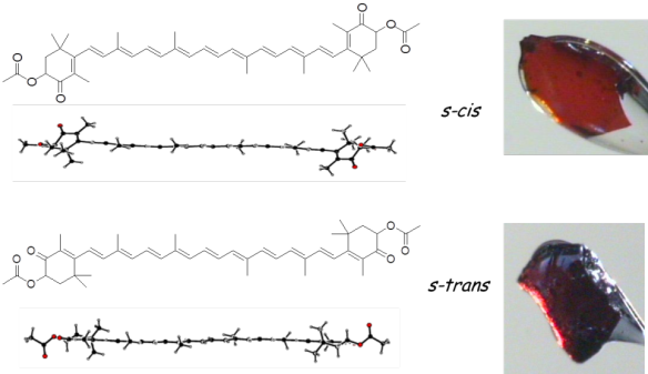 The different colours of astaxanthin depending on the conformation of the molecule.