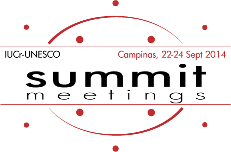 summits_campinas峰会