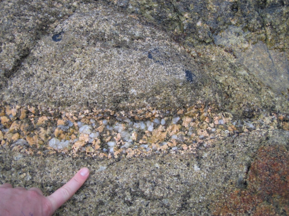  Figure 3. A pegmatitic vein from Rinsey cove, Cornwall.
