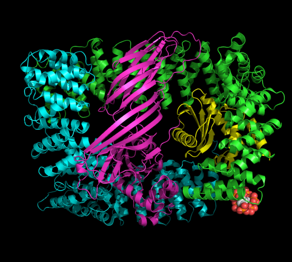 The image was generated using the molecular graphics software PyMOL. http://www.pymol.org/