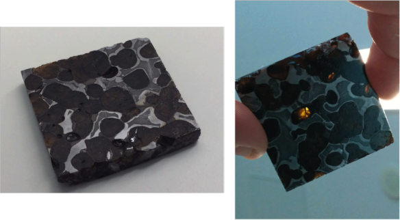 Figure 3. A section of pallasite meteorite “Brenham”.