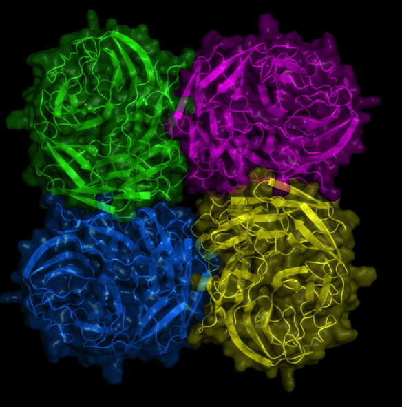 Image generated by Pymol (http://www.pymol.org/)