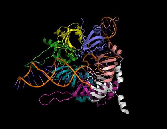 Collins_spliceosome