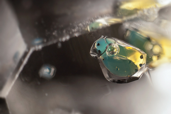 Image 4: Petroleum and methane bubble in quartz. Image by Danny Sanchez