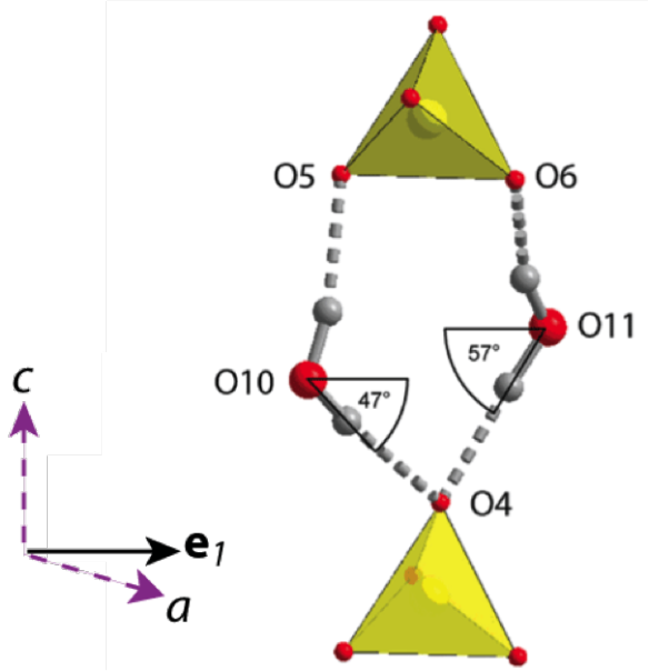 Figure 3. The hydrogen bonds and sulphate tetrahedra which control the behaviour of mirabilite with temperature.