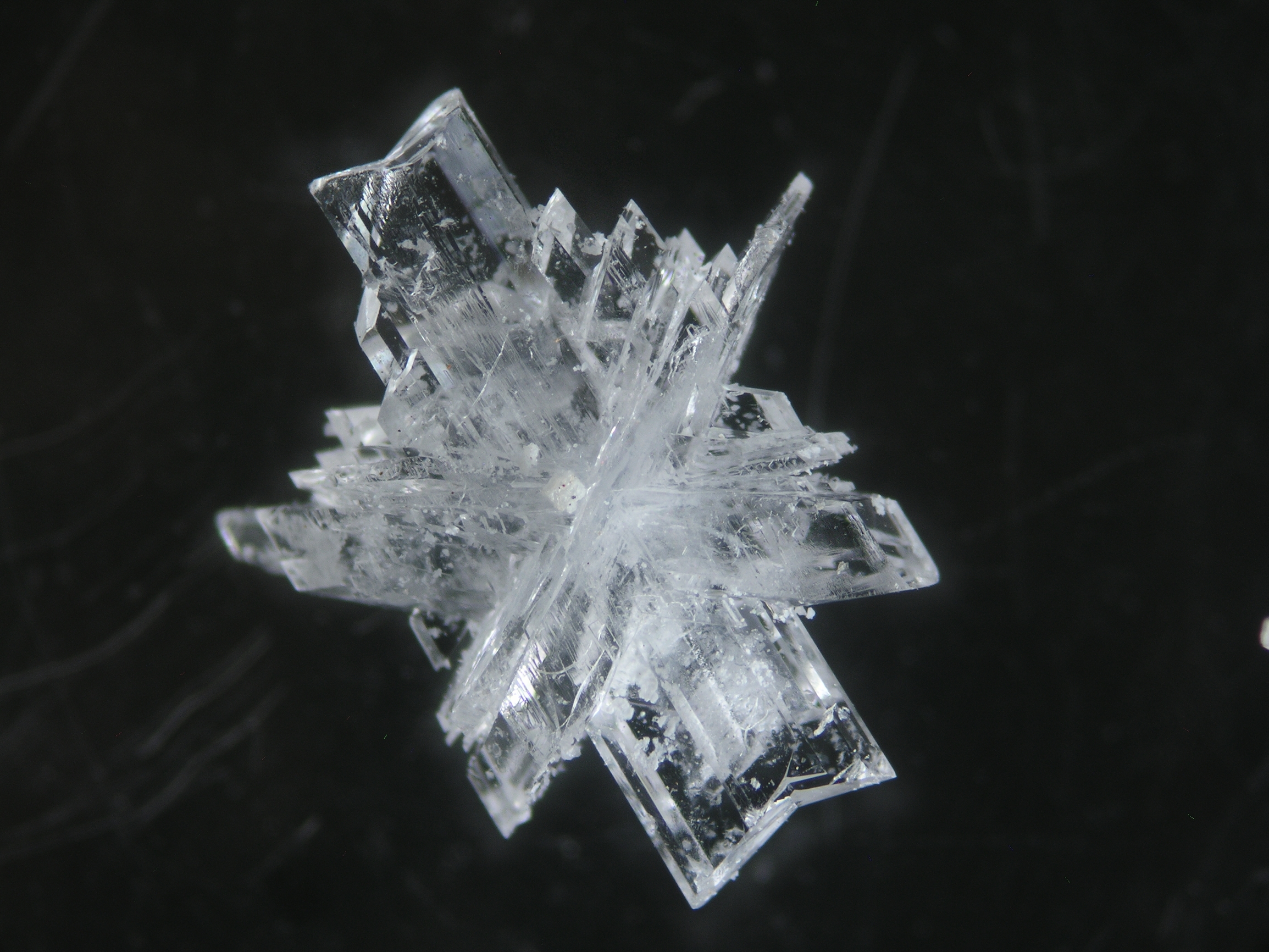 Газообразные кристаллы. Кристаллизация h2(cucl4). Сульфат кальция монокристалл. Кристаллы caso4 2h2o под микроскопом. Монокристалл слюды.