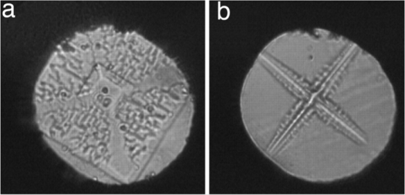 Microphotographic images of pressure-induced dendritic Ice VI crystals (a) and (b) from work by Lee et al. http://www.pnas.org/content/104/22/9178.figures-only
