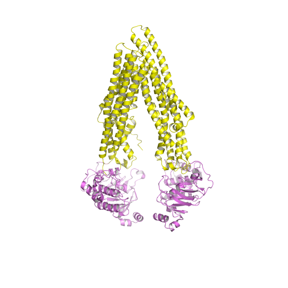 Image generated by Pymol (http://www.pymol.org/) (pdb code: 3G5U).