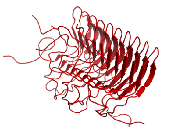 Image generated by Pymol (http://www.pymol.org/) using the coordinates from the protein data bank (accession code: 2RNM). 