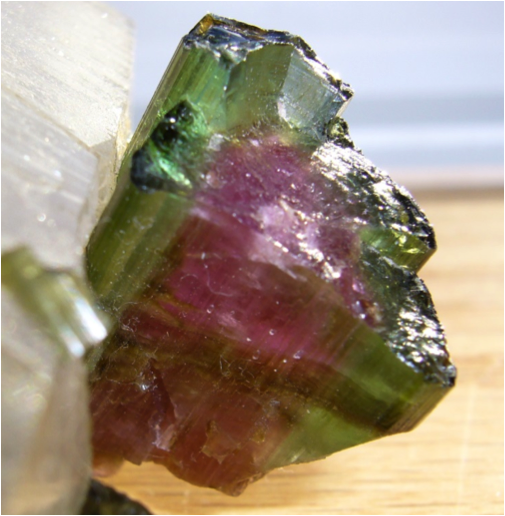 Figure 4. Watermelon tourmaline. Image from: http://en.wikipedia.org/wiki/File:Watermelon_Tourmaline.JPG